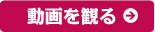 動画を観る