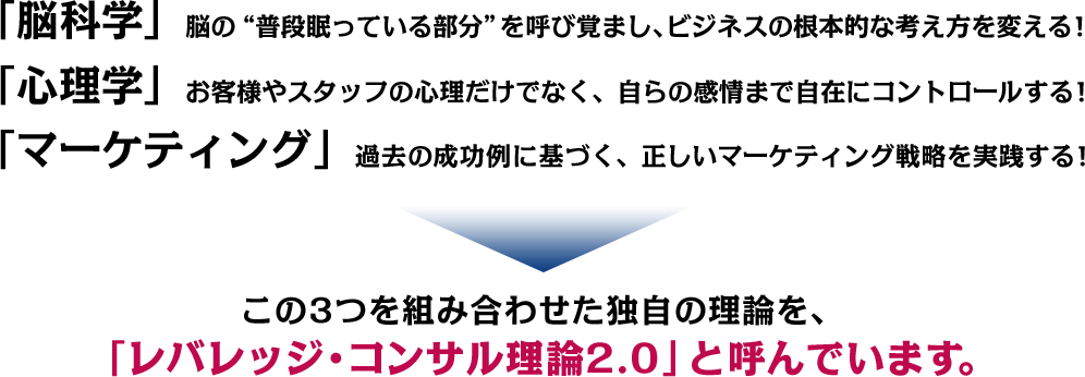 この3つを組み合わせた独自の理論を、「レバレッジ・コンサル理論2.0」と呼んでいます。