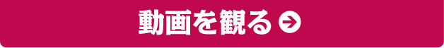 動画を観る